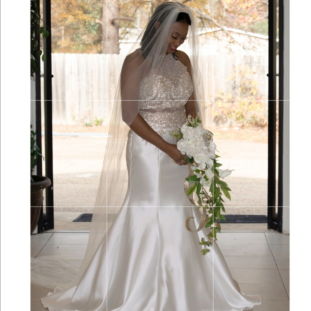 Wedding/Prom Dress & Veil